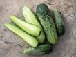 Chicago cucumber