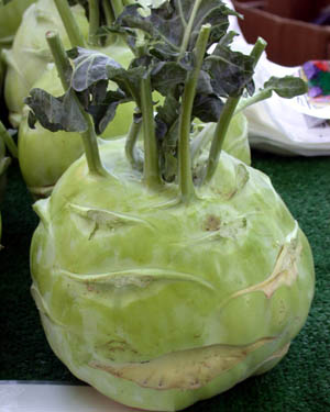 Kohlrabi bulb.