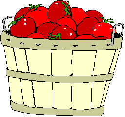 A garden basket of tomatoes.