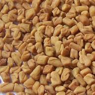 Fenugreek seed