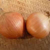 Newburg onions