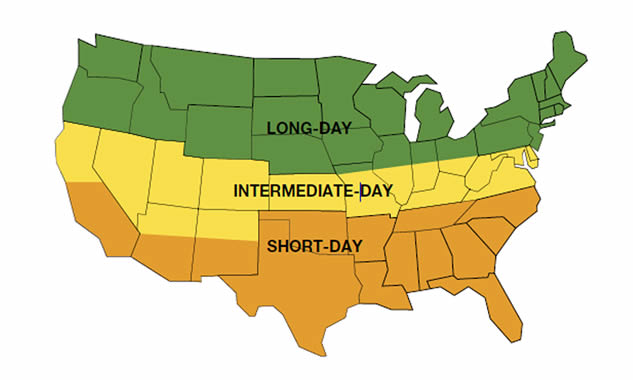 Onion-ranges map.