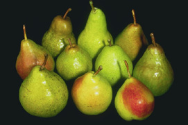 Various pears